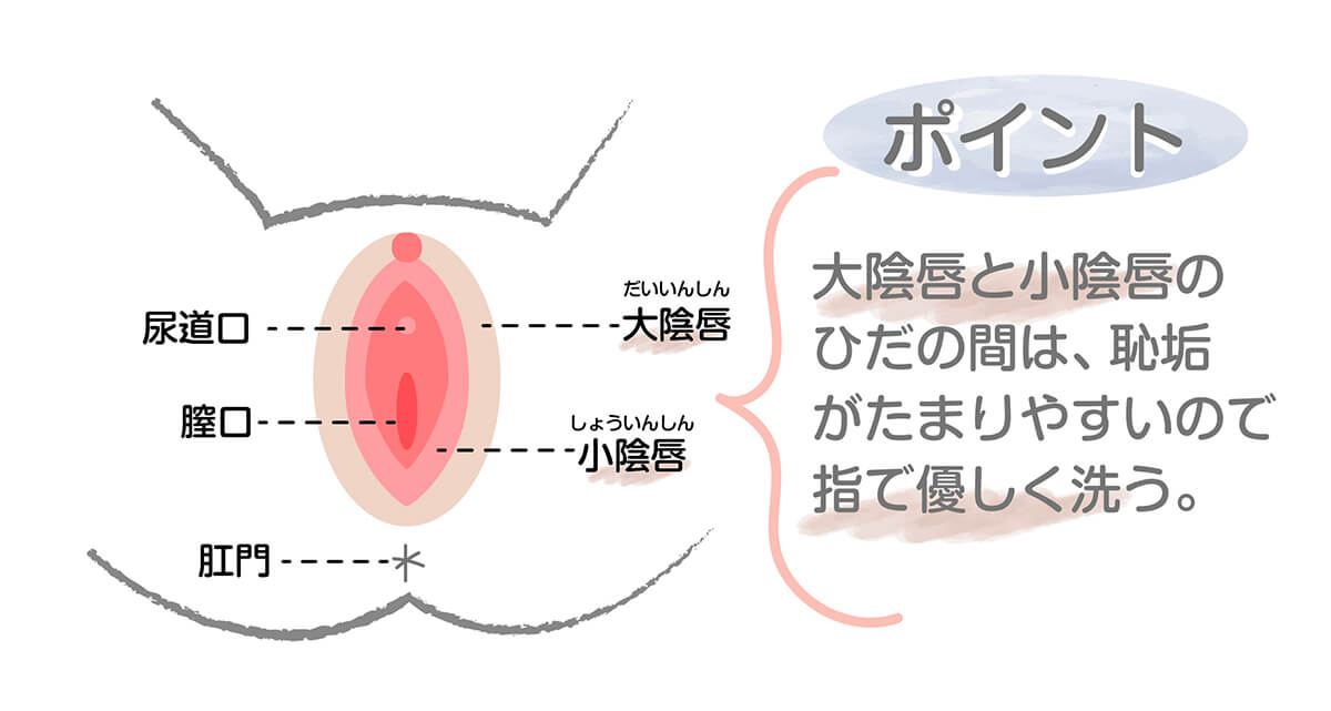 洗い方イメージ