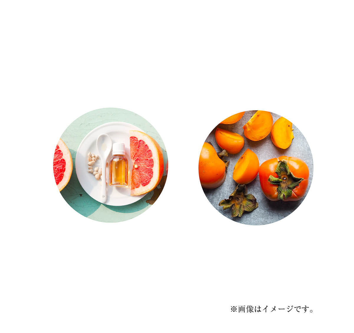 成分