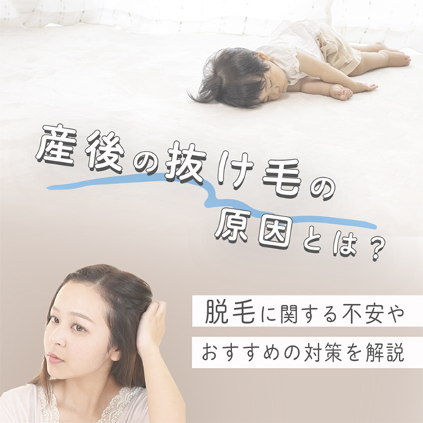コラム_産後の抜け毛_ビトップメディア