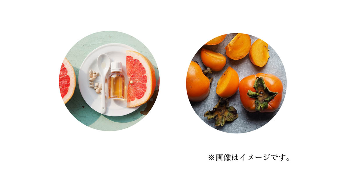 CLAYGEランジェリーウォッシュ柿タンニンイメージ